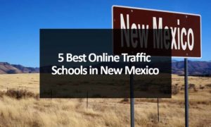 5 Best Online Traffic Schools in New Mexico